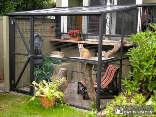 Window 2024 cat enclosure