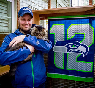 catio-cat-enclosure-cat-guardian-seahawks-catiospaces