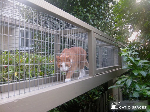 Cat aviary outlet for sale