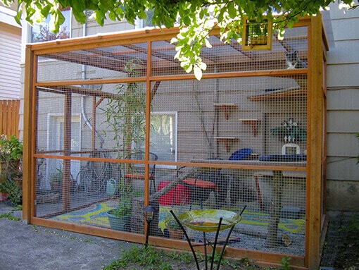 Cat 2024 outdoor cage