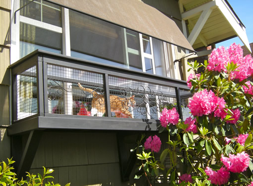 cat patio for window