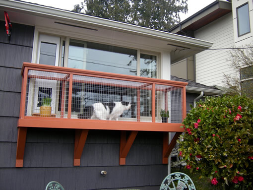 window cat catio