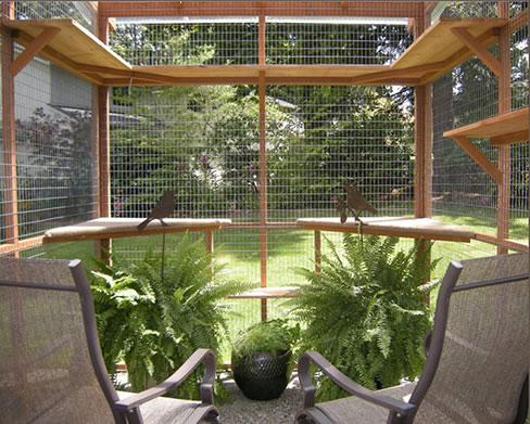 Enclosed catio sale