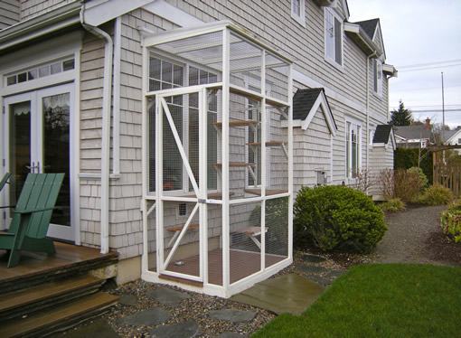 outdoor wooden cat patio