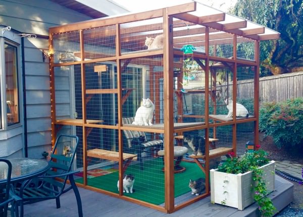 How to make cheap a cat indoor outdoor