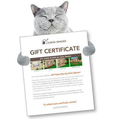 Gift Certificate Woocommerce