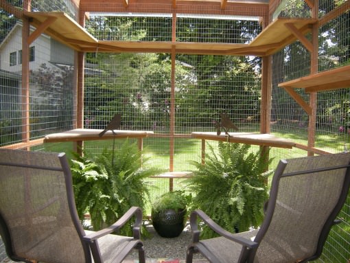 Interior of catio with shelves