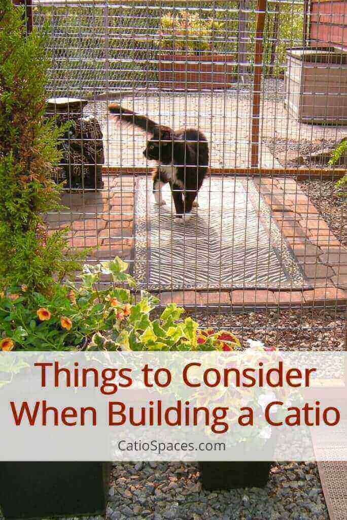 Consider things like your cat's personality, age, and preferences when designing your catio