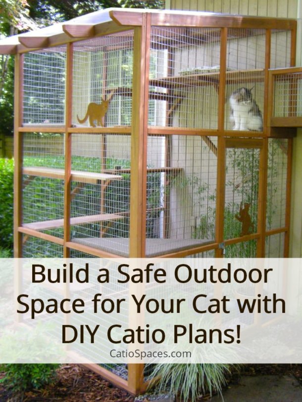 It’s Easy to Build a DIY Catio for Your Cat! - Catio Spaces