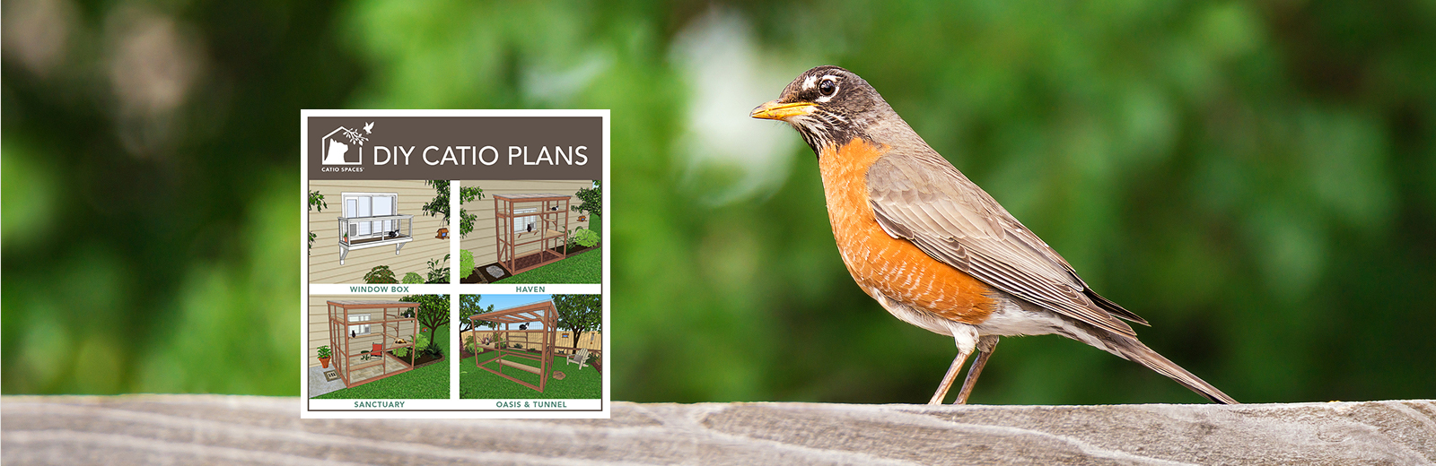 Header-Bird-DIY