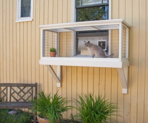 How to Build a Catio For Your Cat - Catio Spaces