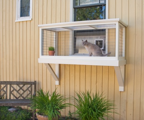 Window Box Type Catio with Window Access