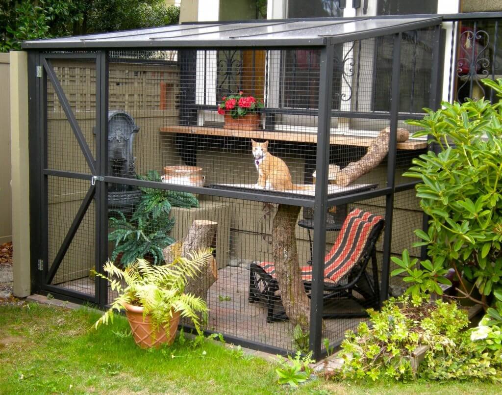 outdoor cat enclosure with window access