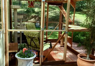 sanctuary-catio-diy