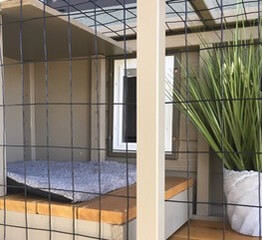 window-box-catio2