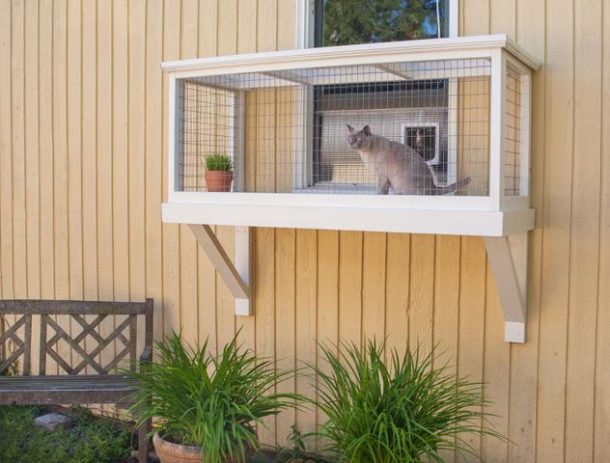 catio with tunnel