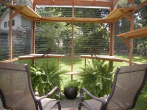 Catio Hacks Our Top 8 Tips For Diying Your Catio