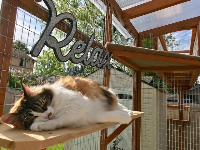 Catio shelves hotsell