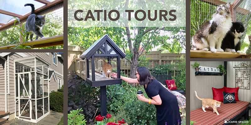 Catio Tour Title Catio Spaces Designs