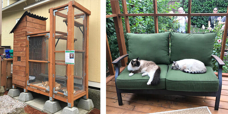 Catio Tour Portland