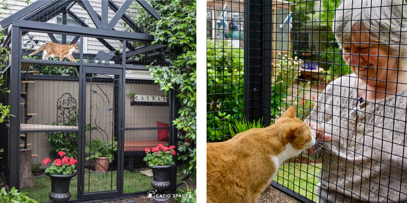 Catnip cat clearance enclosure