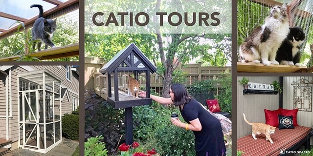 Catiospaces Catio Tours