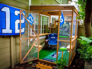 Catio Cat Enclosure Seahawks Exterior Catiospaces