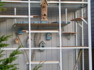 Catio Cat Enclosure Birdhouse Cats Exterior Decorcatiospaces