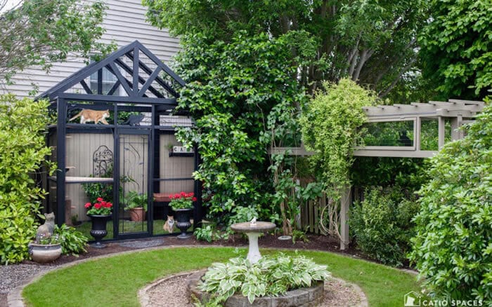 Catios Gone Wild: 5 Crazy Cool Catio Designs You Have to See