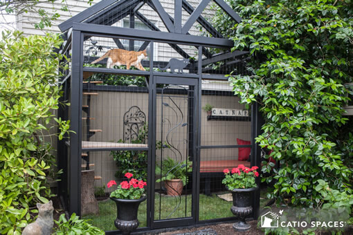 Custom built cat on sale enclosures