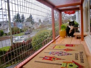 chicken wire cat enclosure