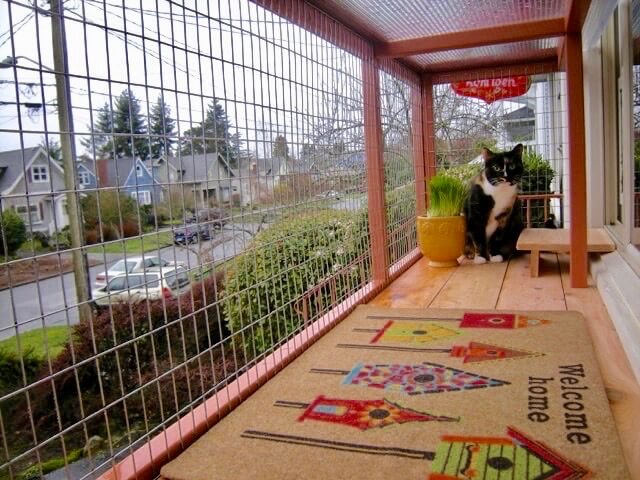 DIY Catio Materials: How to Pick the Right Cat Enclosure Mesh for Your  Catio - Catio Spaces