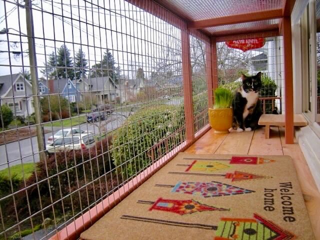 cat enclosure mesh