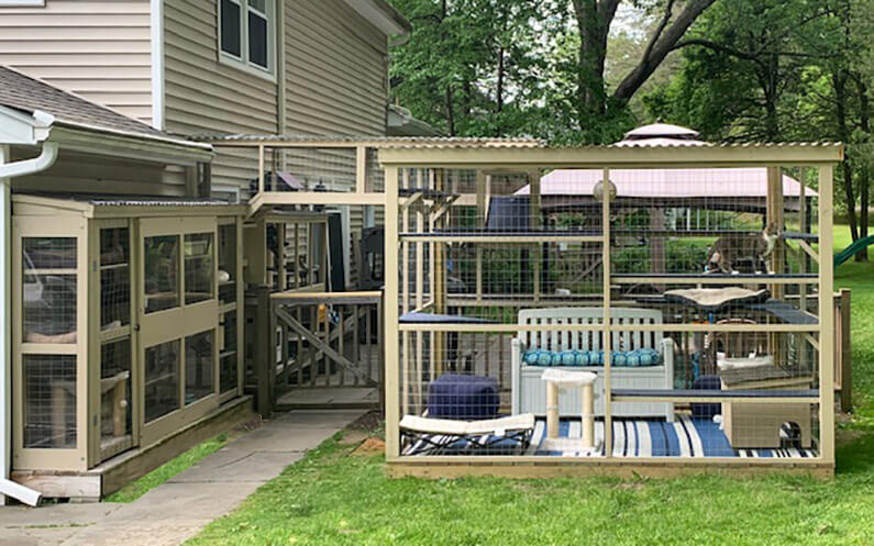 Cat Enclosures Catiospaces Catio Window Box Oasis