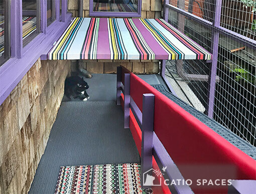 catio cat enclosure custom patio catio spaces