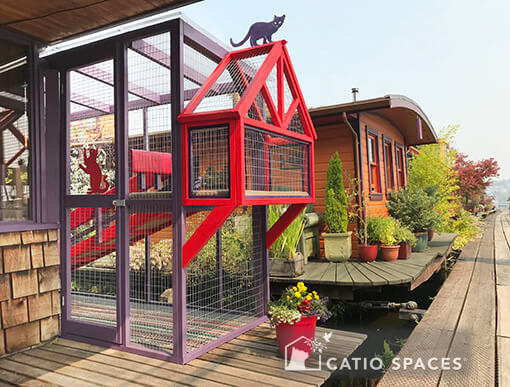 Catio Cat Enclosure Ch Cerebellar Hypoplasia Cats Houseboat Catiospaces 510wm (1)