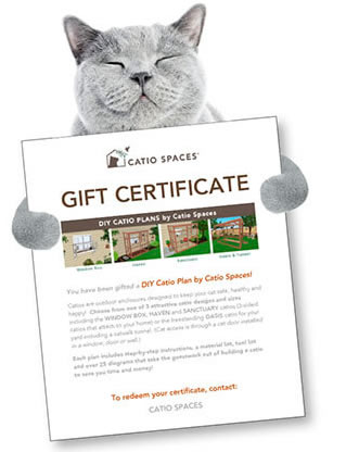 cat sleeping catio gift certificates 