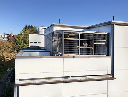 Catio kat kabinet dæk Urban Tamar udvendige Catiospaces