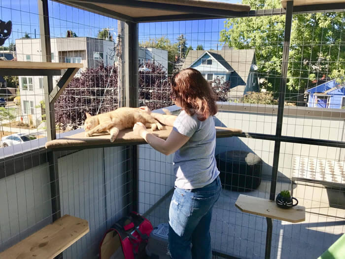 Catio on clearance balcony