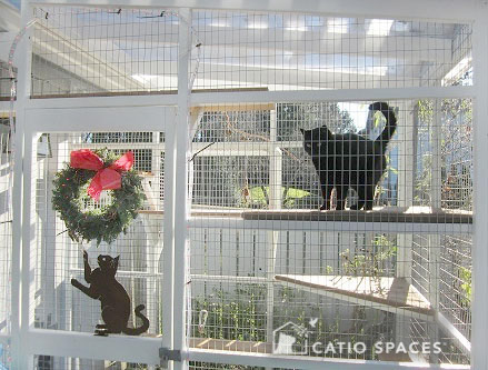 Catio Cat Enclosure Holiday Wreath Catiospaces[601]