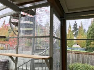 Catio Cat Enclosure Weatheriizing Catiospaces[600]