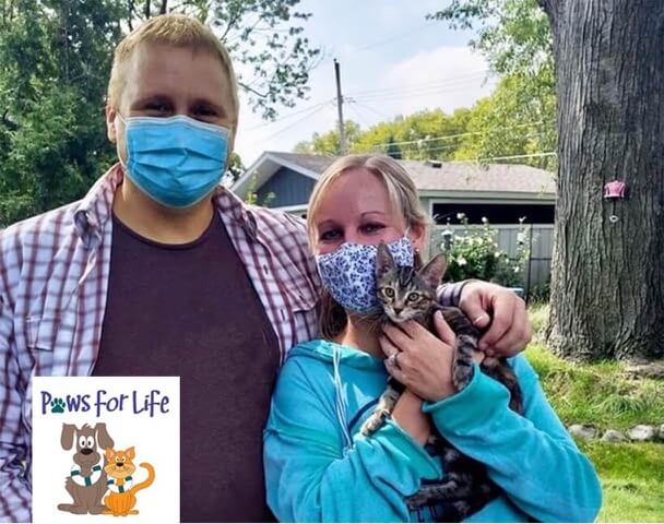 Paws For Lif Rescue Catiospaces 1