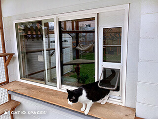 Cat flap clearance with slide cover