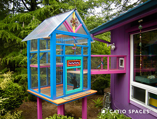 Catio toys hotsell