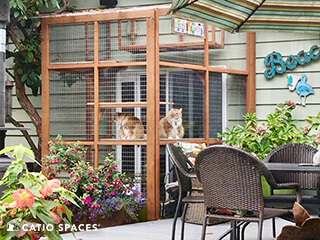 Catio Furniture Ideas For Making Your Catio Super Pretty • Kritter Kommunity