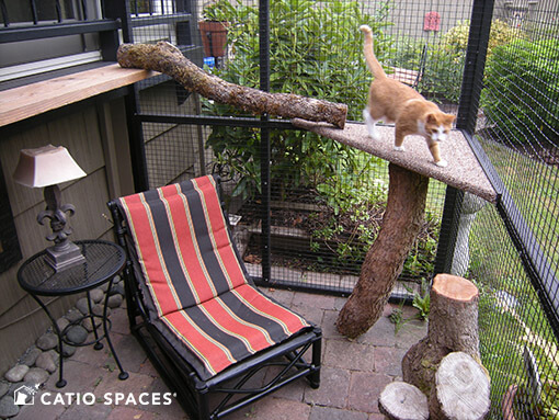 Catio Cat Enclosure Interior Serena Sanctuary Black Catiospaces 510 Wm