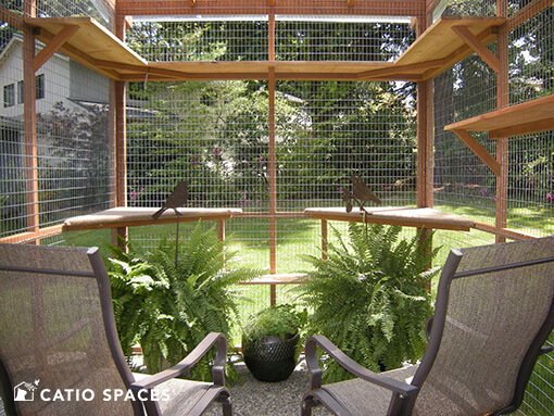 Catio Cat Enclosure Interior Seating Catiospaces 510 Wm