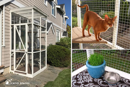 Catio Cat Enlsoure Haven Diy Mars Collage Catiospaces 510 Wm