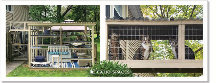 Catio with outlet tunnel