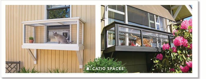 Cat enclosure 2024 window access